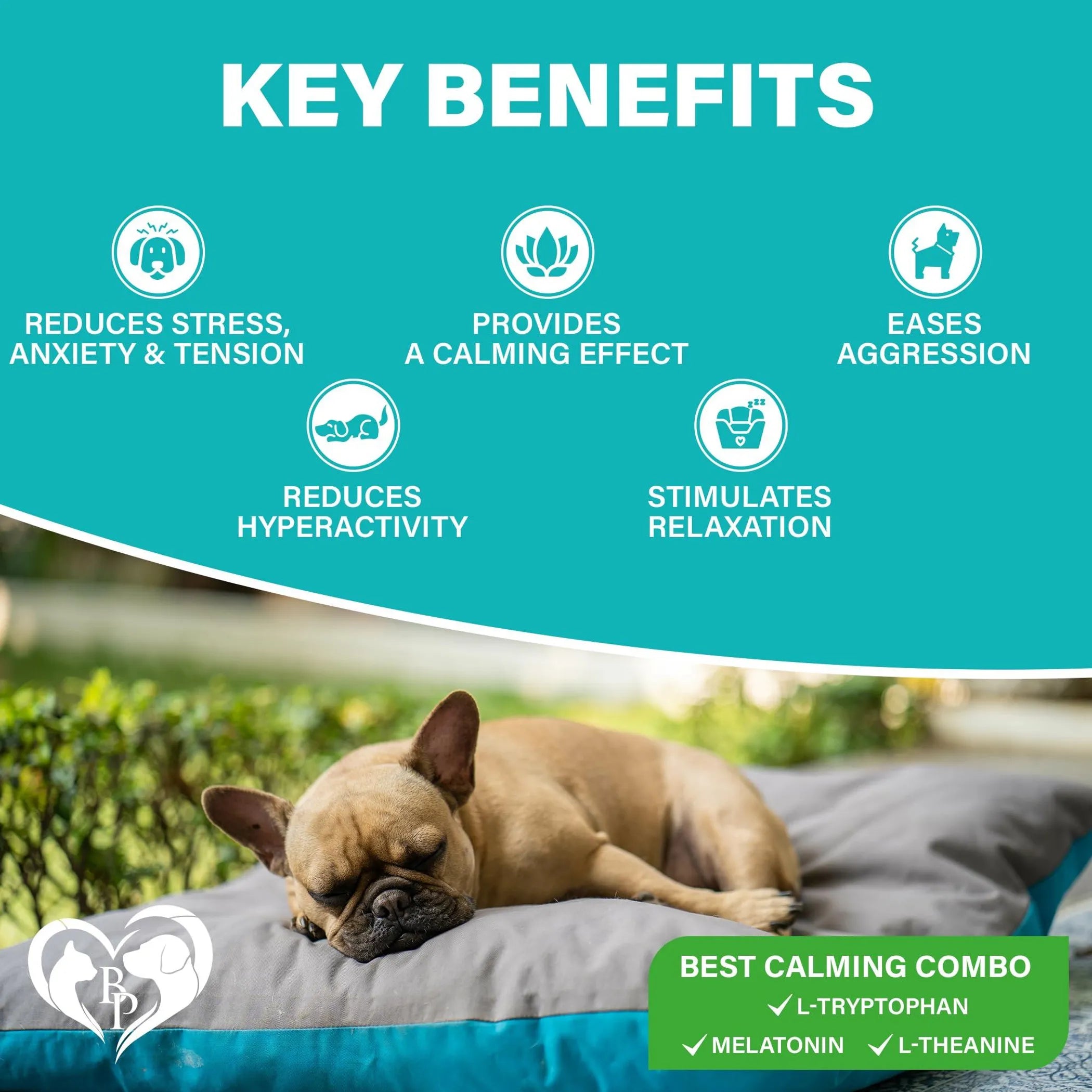🐾 Natural Hemp Calming Chews for Dogs – Natural Anxiety, Pain & Joint Relief