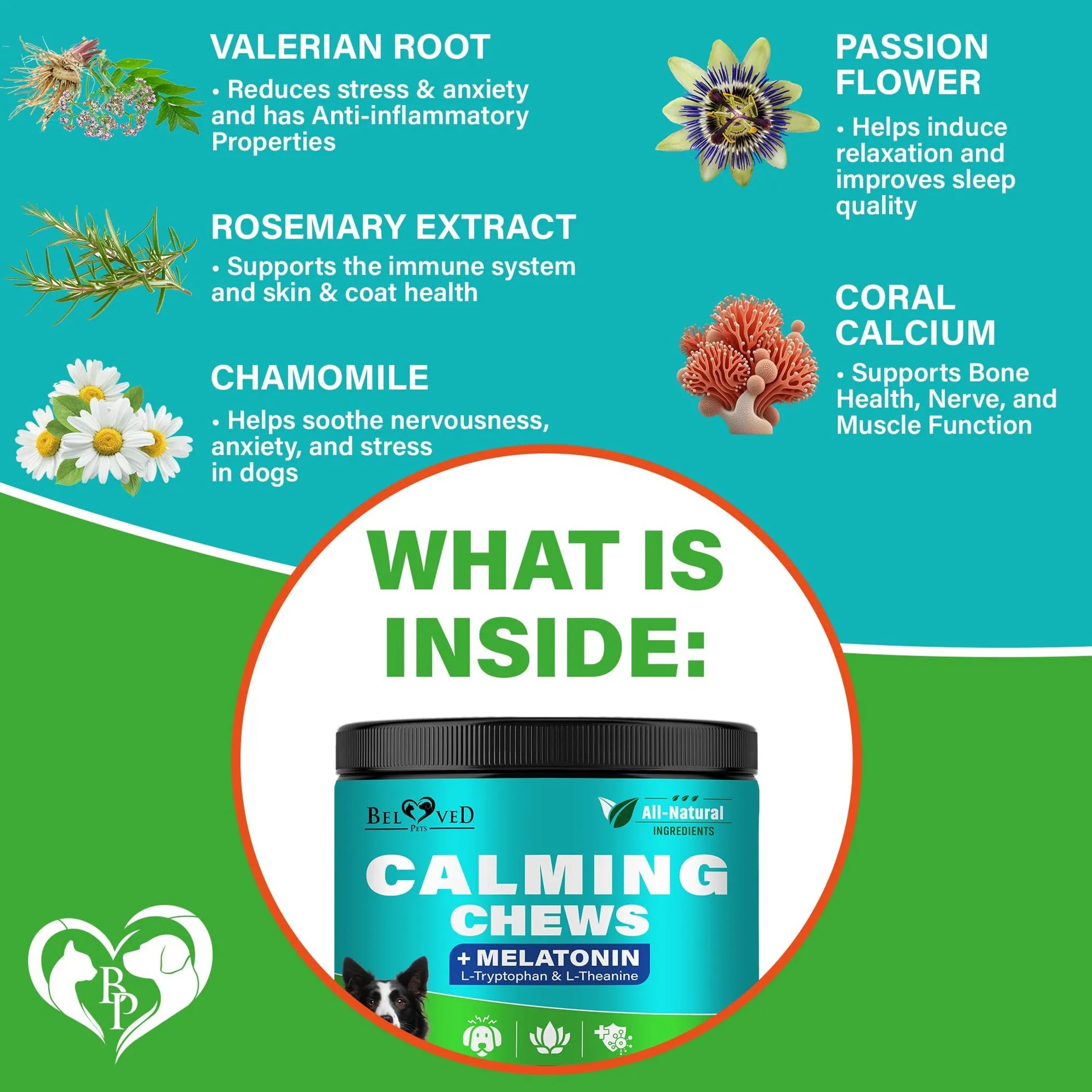 🐾 Natural Hemp Calming Chews for Dogs – Natural Anxiety, Pain & Joint Relief